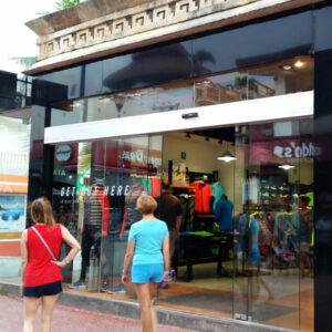 Sistema Lineal Ryobi